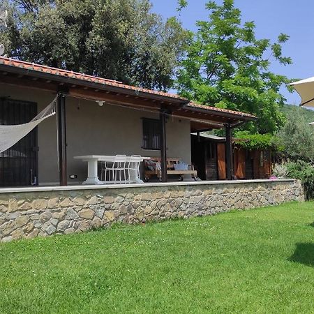 B&B La Casina Di Iris Ареццо Екстер'єр фото
