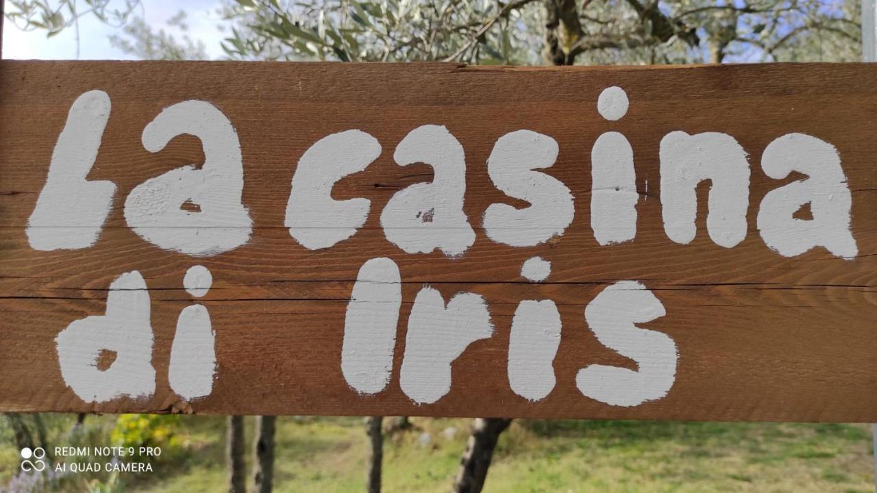 B&B La Casina Di Iris Ареццо Екстер'єр фото