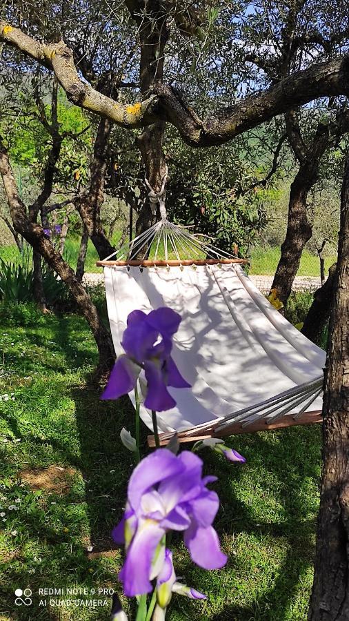 B&B La Casina Di Iris Ареццо Екстер'єр фото