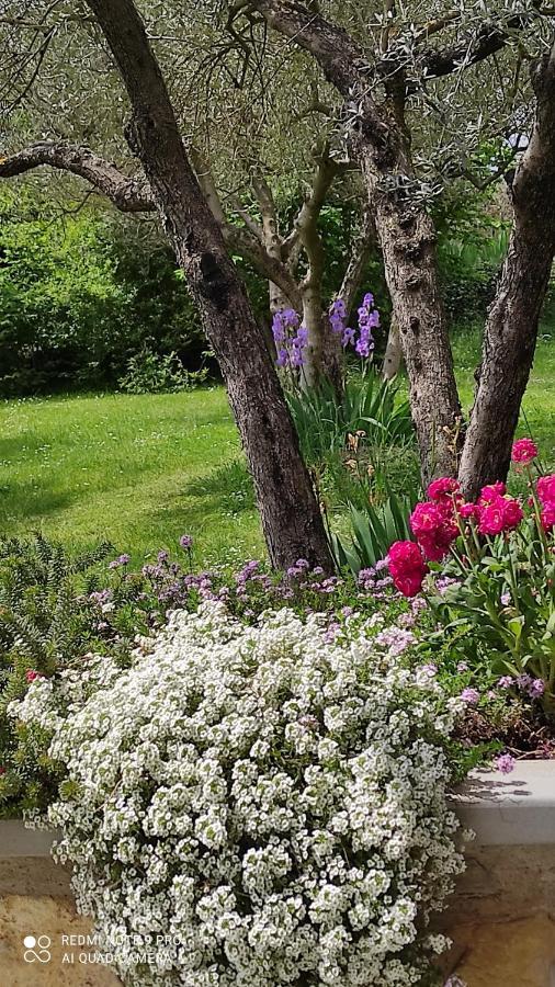 B&B La Casina Di Iris Ареццо Екстер'єр фото