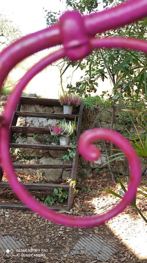B&B La Casina Di Iris Ареццо Екстер'єр фото