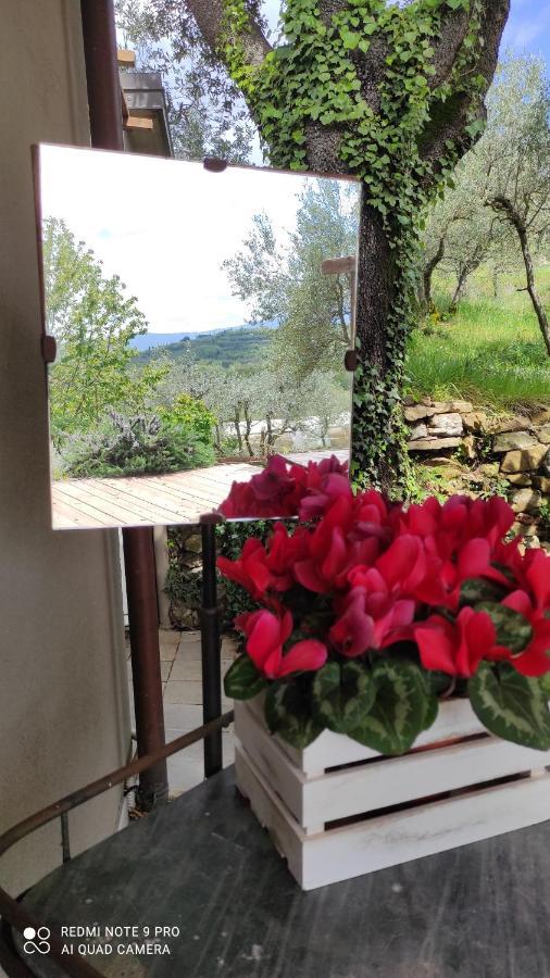B&B La Casina Di Iris Ареццо Екстер'єр фото
