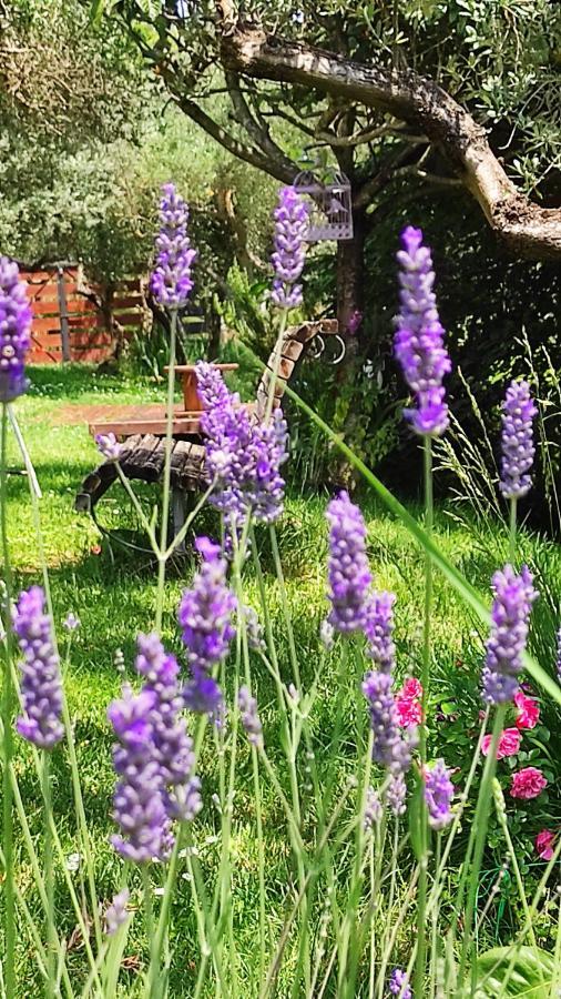 B&B La Casina Di Iris Ареццо Екстер'єр фото