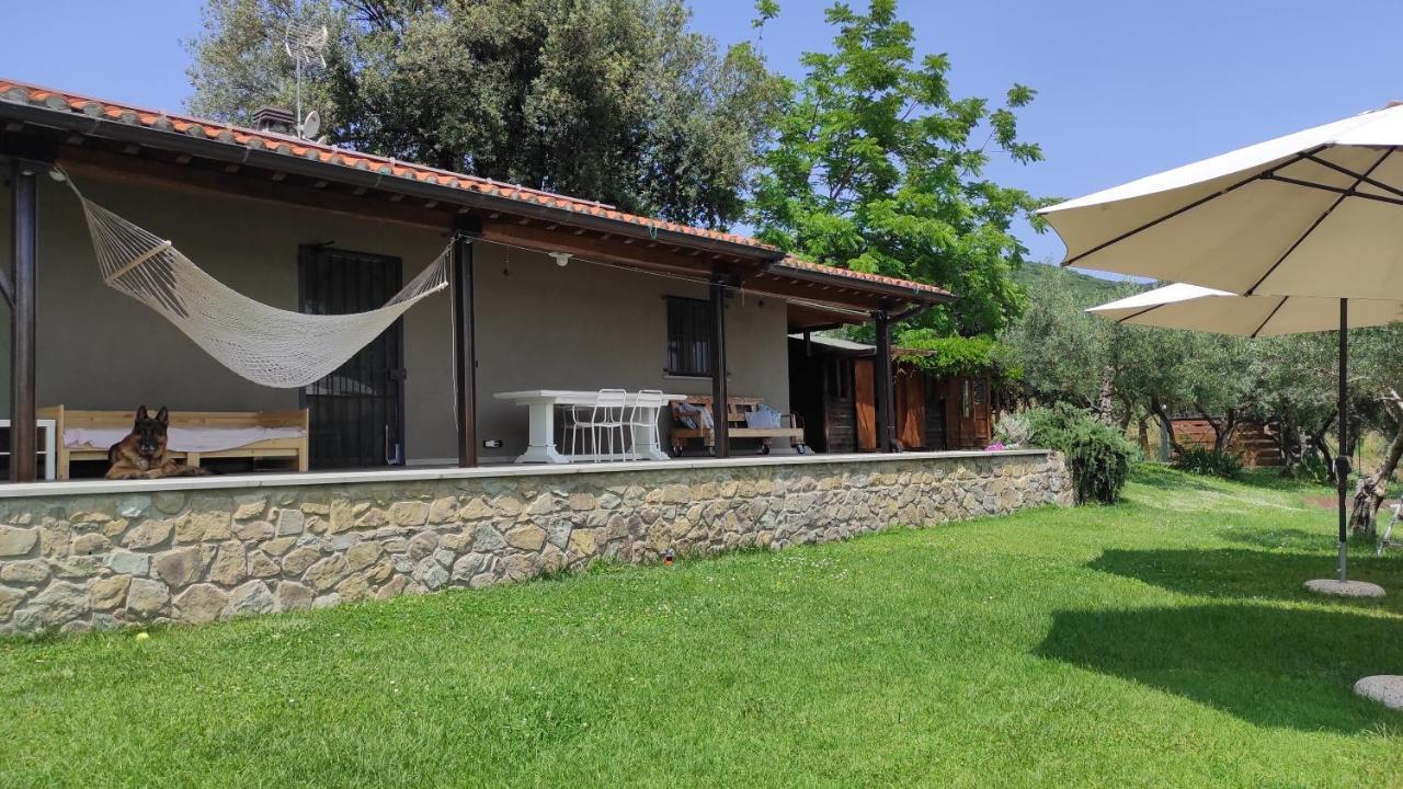 B&B La Casina Di Iris Ареццо Екстер'єр фото