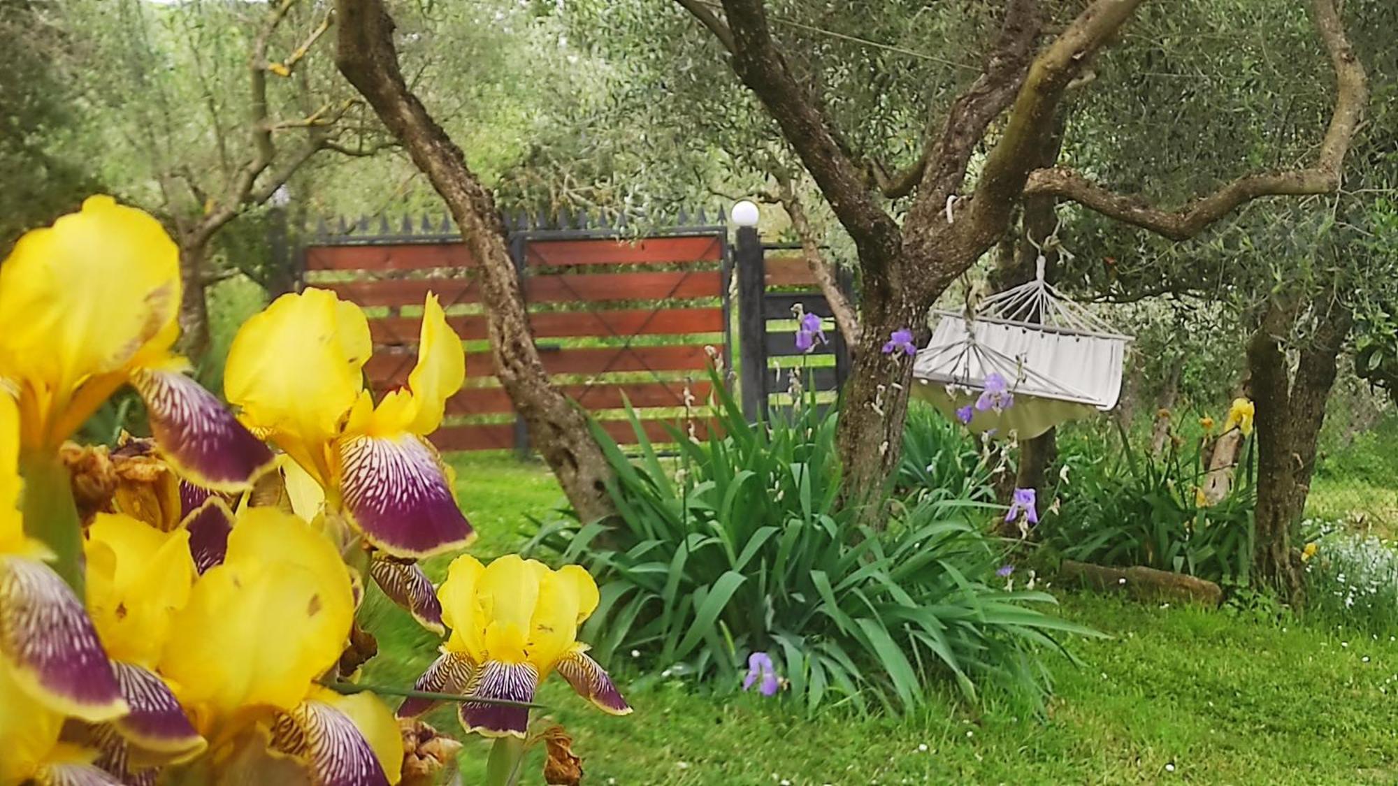B&B La Casina Di Iris Ареццо Екстер'єр фото