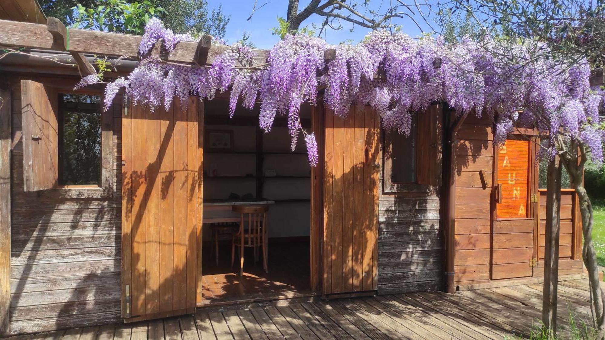 B&B La Casina Di Iris Ареццо Екстер'єр фото